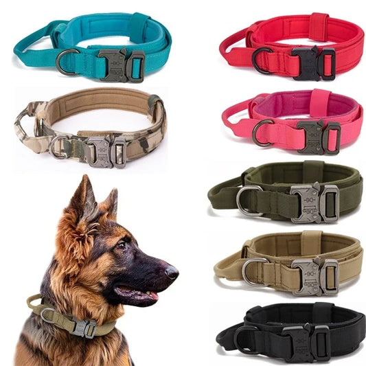 Tactical Collar and Leash Set