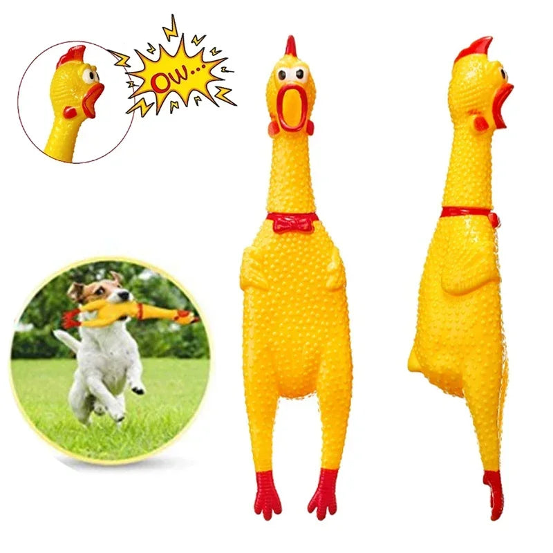 Screaming Chicken Chew Toy