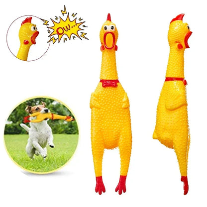 Screaming Chicken Chew Toy