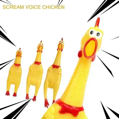 Screaming Chicken Chew Toy